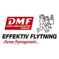 DMF logo